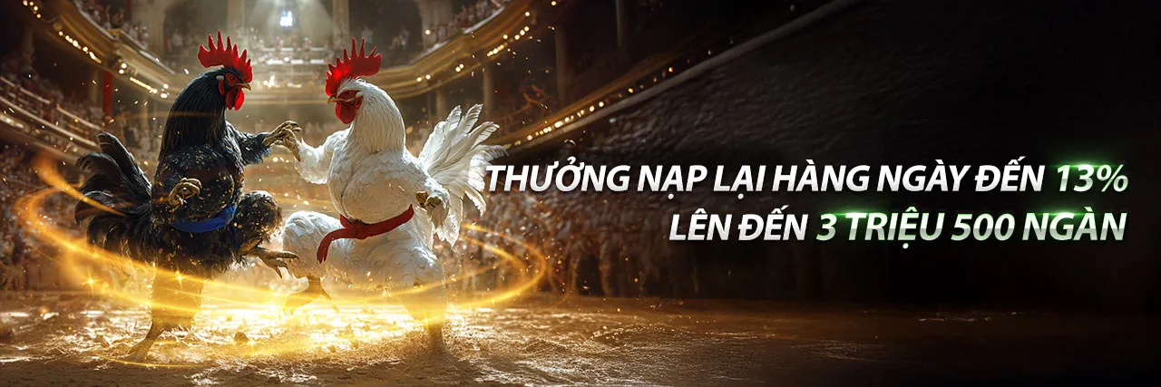 Cá cược có trách nhiệm tại i9bet151 casino